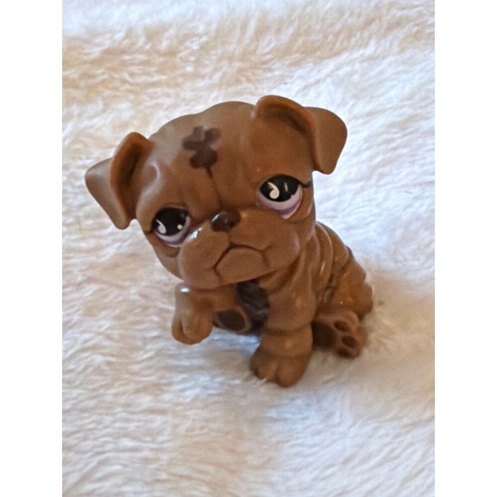 Littlest Pet Shop # 881 Brown Sitting Paw Up Bulldog Purple Tear Drop Eyes